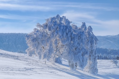 白昼雪山